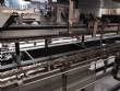 Encartuchadora autom�tica vertical Fabrima
