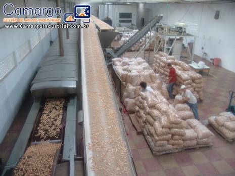 Linha automatizada para produ��o de biscoitos capacidade 800 kg / h