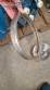 Bomba centr�fuga sanit�ria Castinox com motor WEG 2 CV