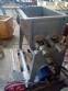 Misturador sigma em a�o inox