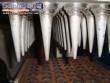 Fabricadora de casquinha de biju sorvetes doces 60 cavidades tipo cone