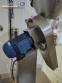 Moinho de facas em a�o inox 5 CV